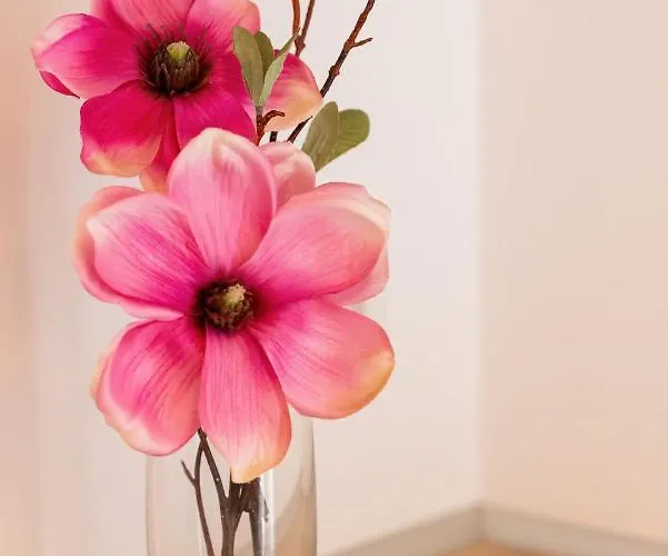 Center Strzelecka By Renters * Posen